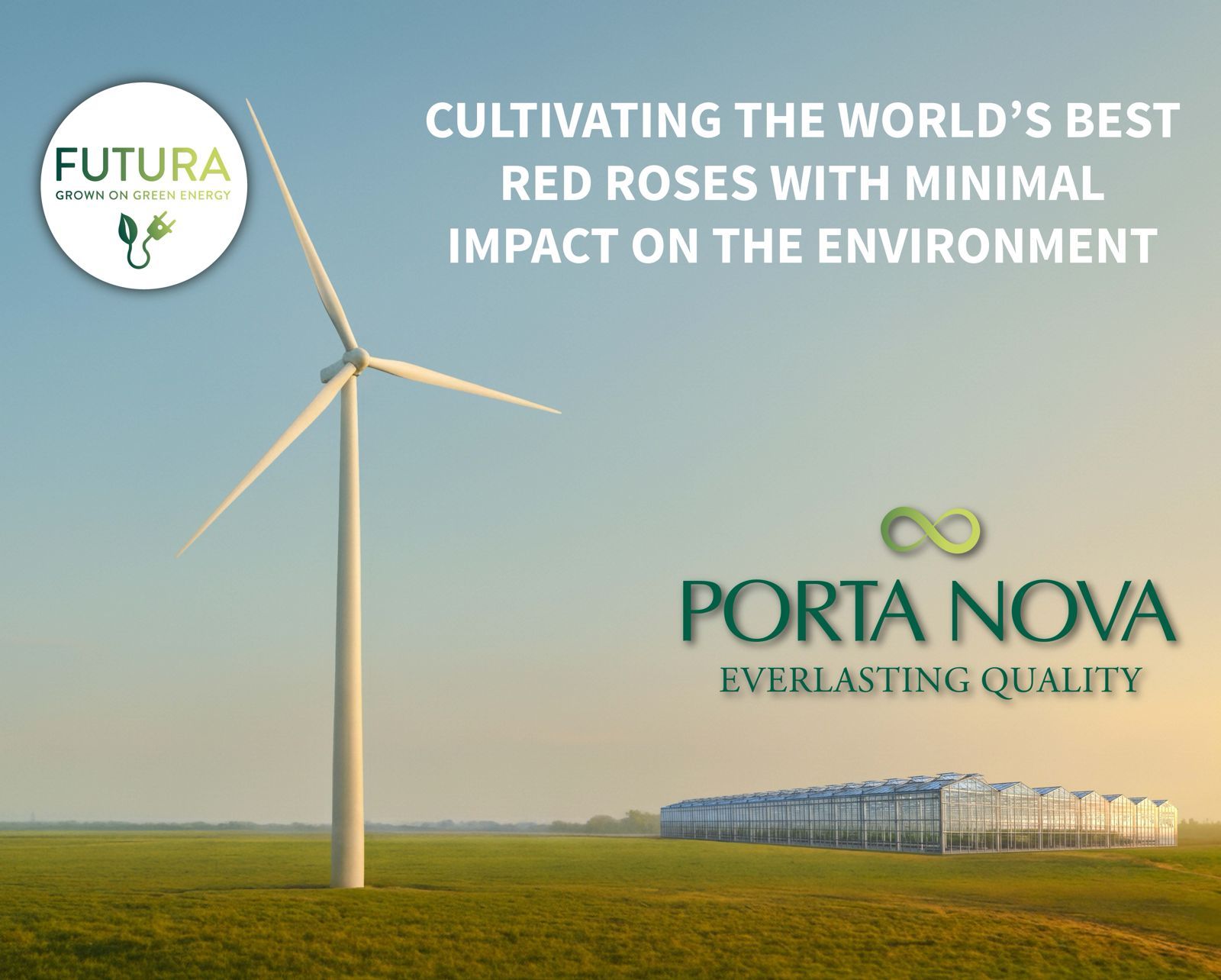 WhatsApp Image 2025-10-27 at 09.36.38.jpeg