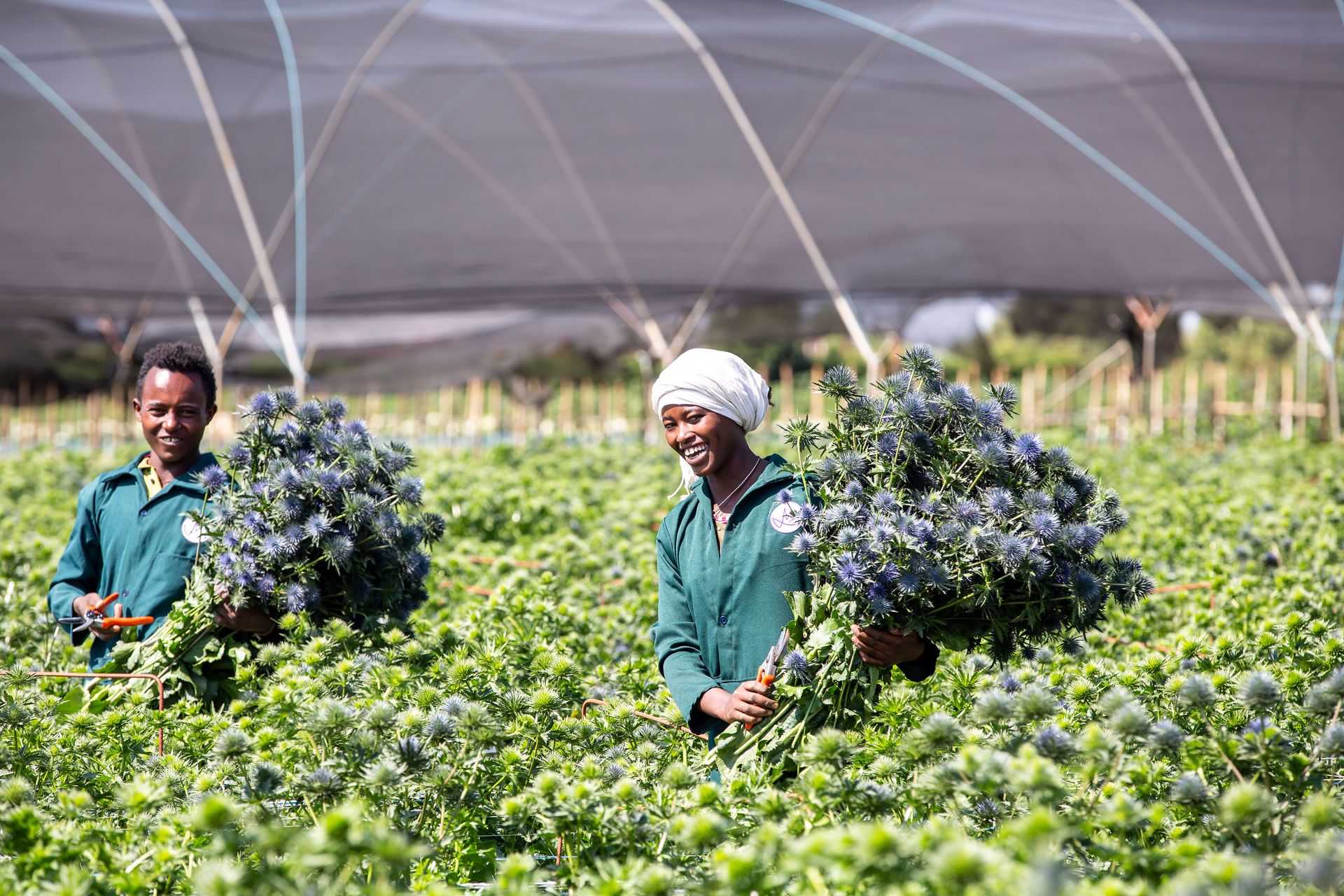 Marginpar Ethiopia Sala Lewis.jpg