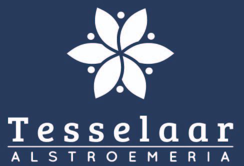 Tesselaar Logo
