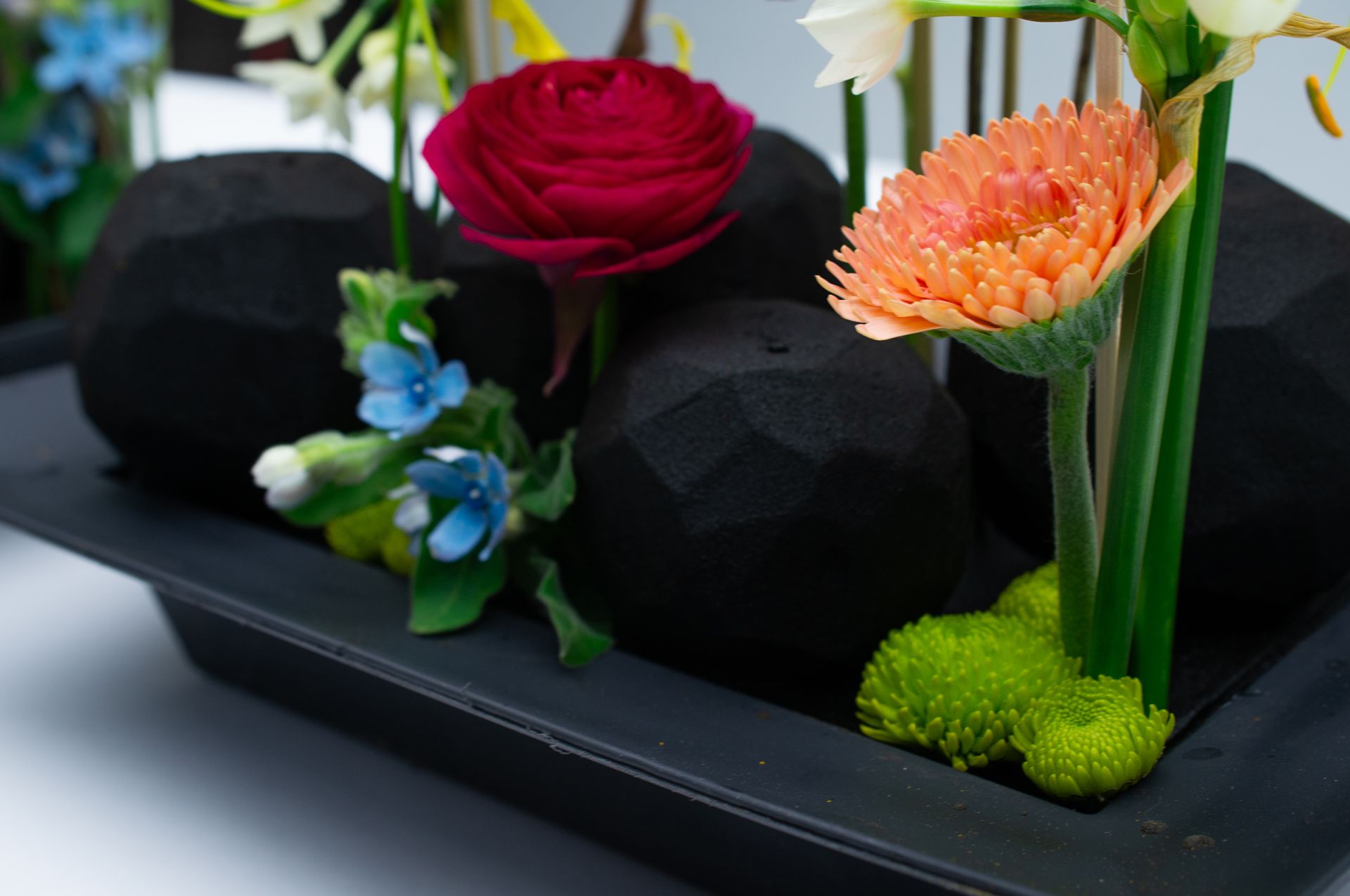 OASIS Renewal Floral Foam Design 1 Closeup.jpg