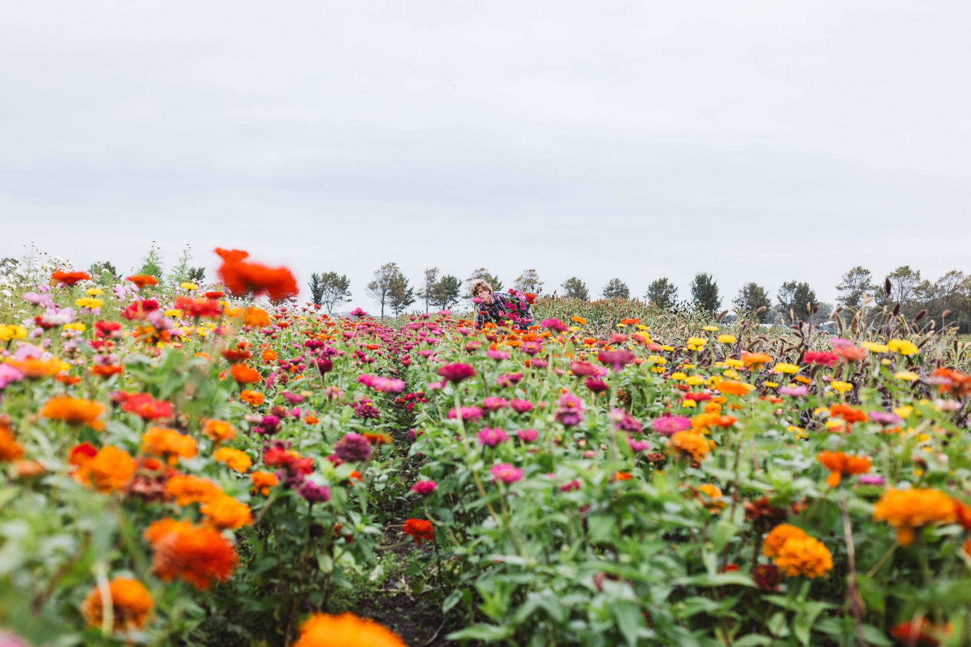 Credits Iris Duvekot 2.jpg