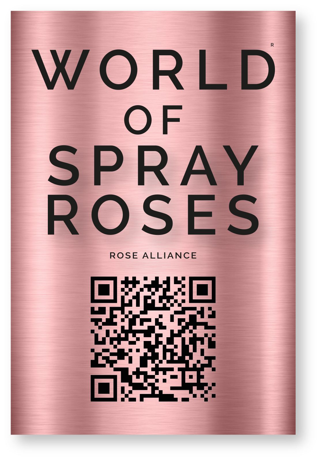 Spray Roses.jpg
