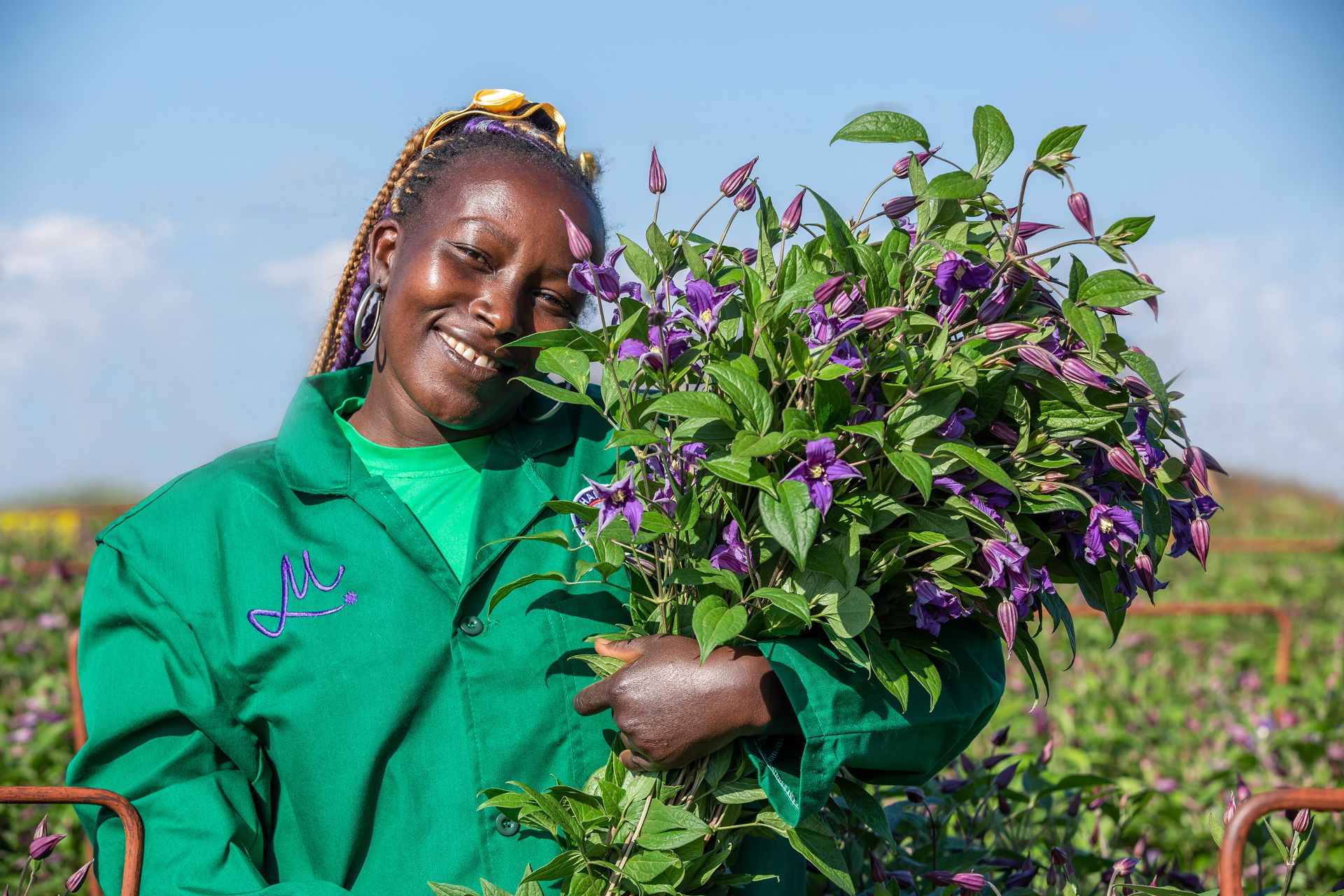 Marginpar  Clematis Blue Pirouette.jpg