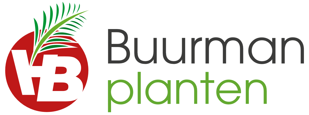 Buurman Planten logo.png