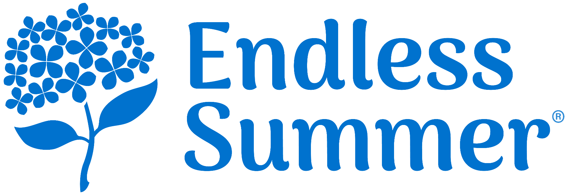LOGO Endless Summer.png