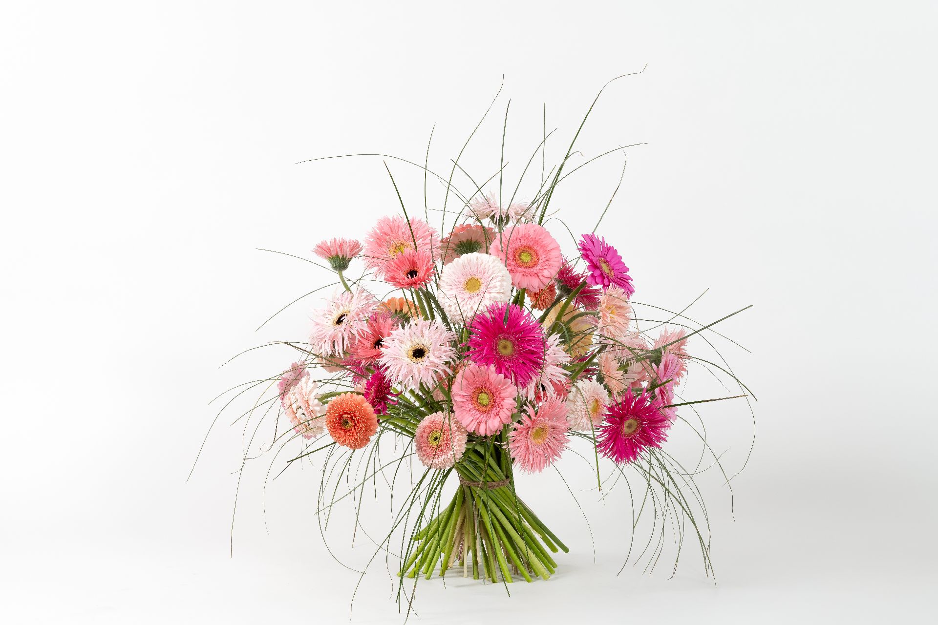 Alex Segura - Floral Fundamentals march 2025-241-bewerkt.jpg