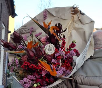 Oogenlustverhuur - 7.jpg