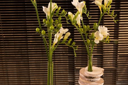 Freesia Shoor 2022 Interior style_66.jpg