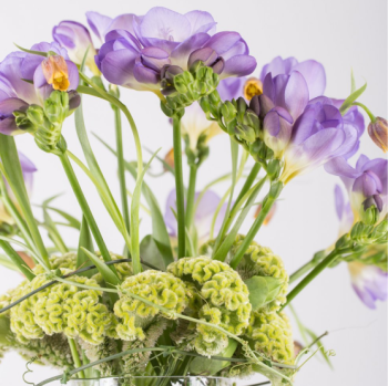 Bloemenwinkel met toonbank en grote gele vaas.