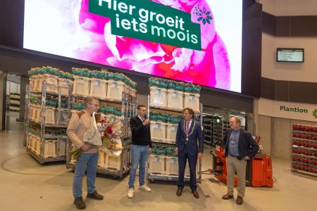 Plantion_aIMG_9437 kopie.jpg