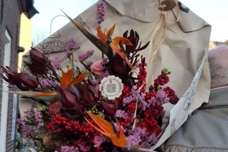 Oogenlustverhuur - 7.jpg