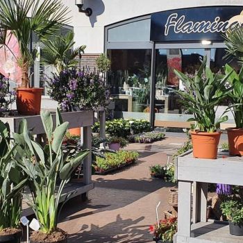 Bloemenzaak genaamd Flamingo Bloemen