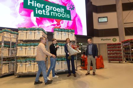 Plantion_aIMG_9441 kopie.jpg