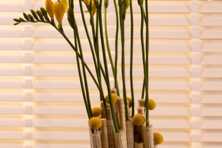 Freesia Shoor 2022 Interior style_21.jpg