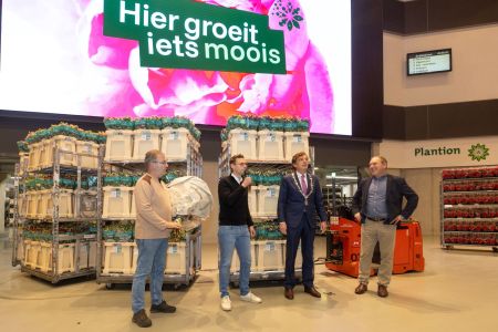 Plantion_aIMG_9434 kopie.jpg