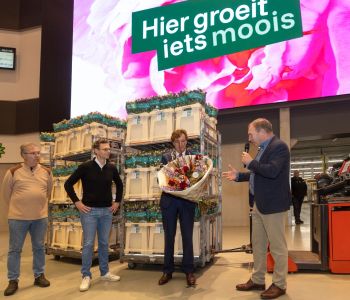 Plantion_aIMG_9443 kopie.jpg