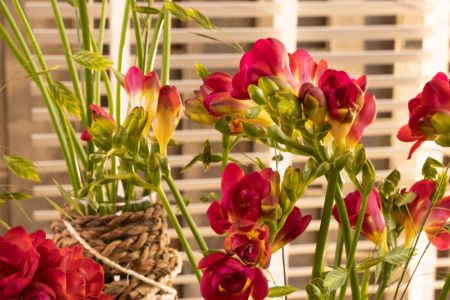 Freesia Shoor 2022 Interior style_58.jpg