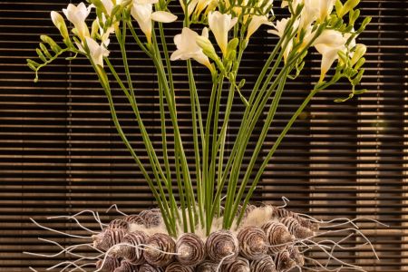 Freesia Shoor 2022 Interior style_59.jpg