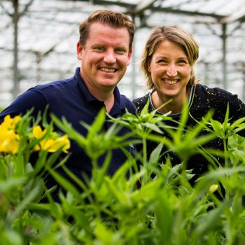 Karolien & Rick van Tesselaar Alstroemeria tussen de Alstroemeria's