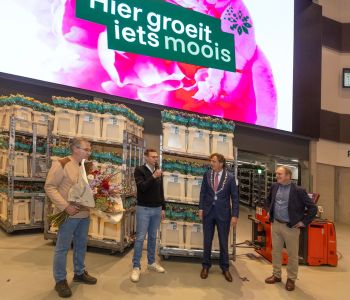 Plantion_aIMG_9437 kopie.jpg