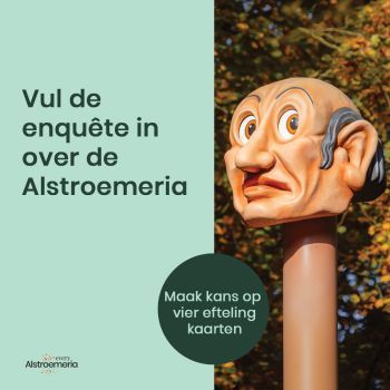 Verzoek invullen enquete Alstroemeria met het hoofd van Lange Jan van de Efteling kans op winnen kaarten