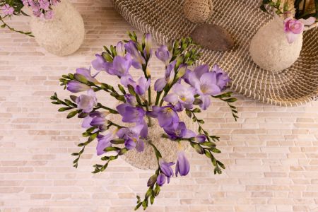 Freesia Shoor 2022 Interior style_36.jpg