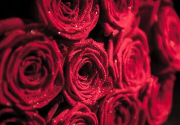 Volop bloemenpromotie in aanloop naar Valentijn