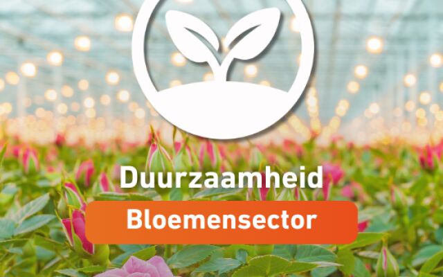 Bloemen: symbool voor waardering en verbinding
