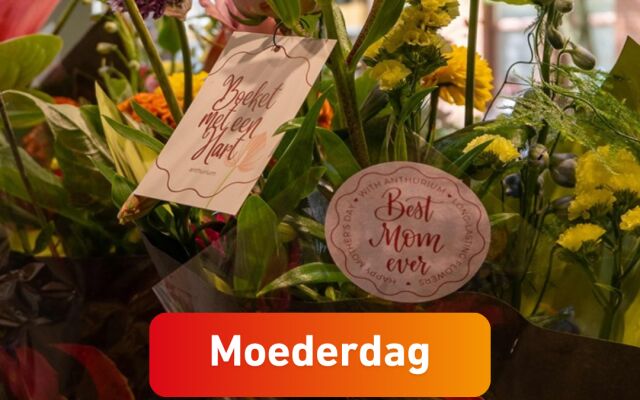 Anthurium Info, Bloem! en VBW bundelen krachten voor Moederdag