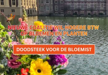 VBW over verhoging BTW op sierteelt: niet effectief en zinvol en de doodsteek voor de bloemist