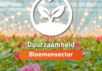 Bloemen: symbool voor waardering en verbinding