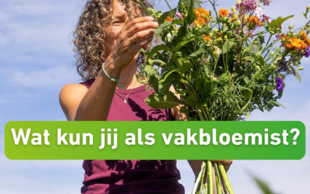 Duurzaamheid in de bloemenwinkel: hoe kan jij als vakbloemist meebouwen aan de biologische keten?