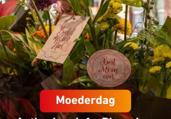 Anthurium Info, Bloem! en VBW bundelen krachten voor Moederdag