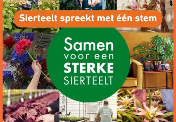 De sierteeltsector spreekt voortaan met één stem in communicatie
