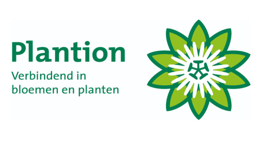 Plantion