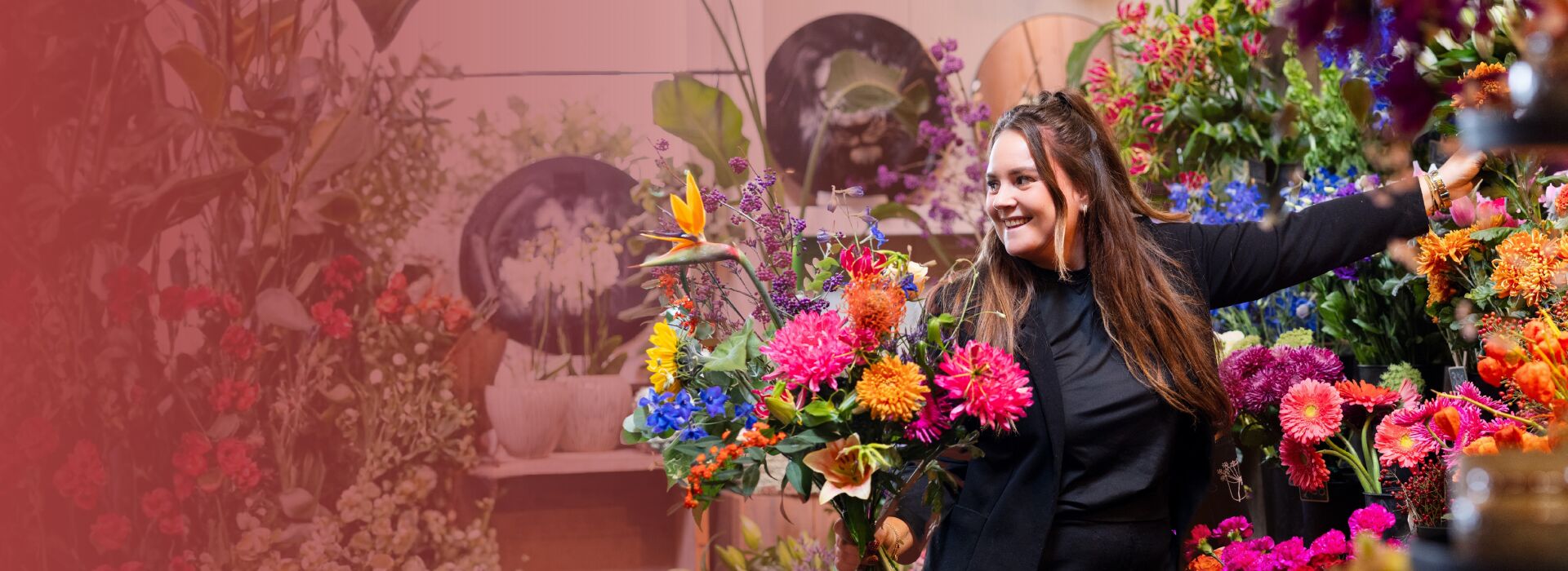 Nieuwe trainingen ingepland