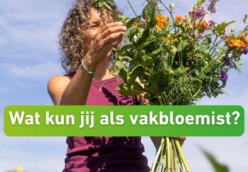 Duurzaamheid in de bloemenwinkel: hoe kan jij als vakbloemist meebouwen aan de biologische keten?