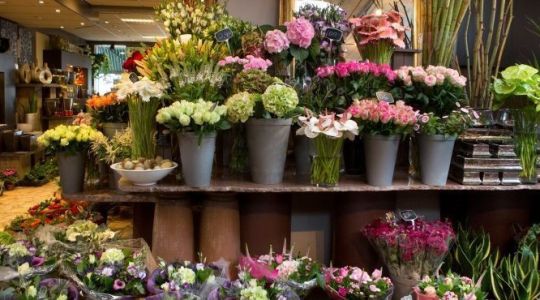 VBW Marktplaats