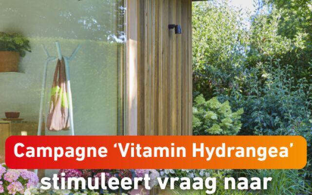 Campagne ‘Vitamin Hydrangea’ stimuleert vraag naar tuinhortensia in buitenseizoen