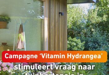 Campagne ‘Vitamin Hydrangea’ stimuleert vraag naar tuinhortensia in buitenseizoen