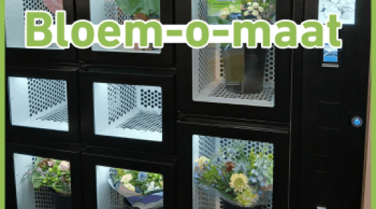 Bloem-o-maat