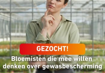 Oproep: bloemisten gezocht die mee willen denken over (communicatie van info over) gewasbescherming