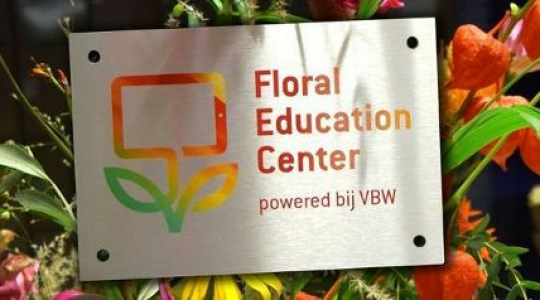 Vakonderwijs