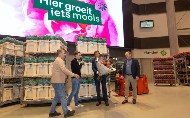 Landelijke sierteeltactie benadrukt de waarde van bloemen