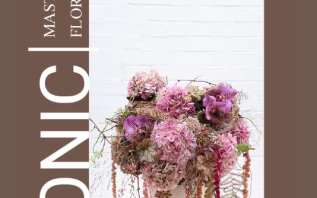 Nieuw online inspiratiemagazine met classic snijhortensia