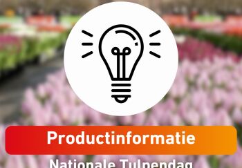 Nationale Tulpendag, 17 januari 2026